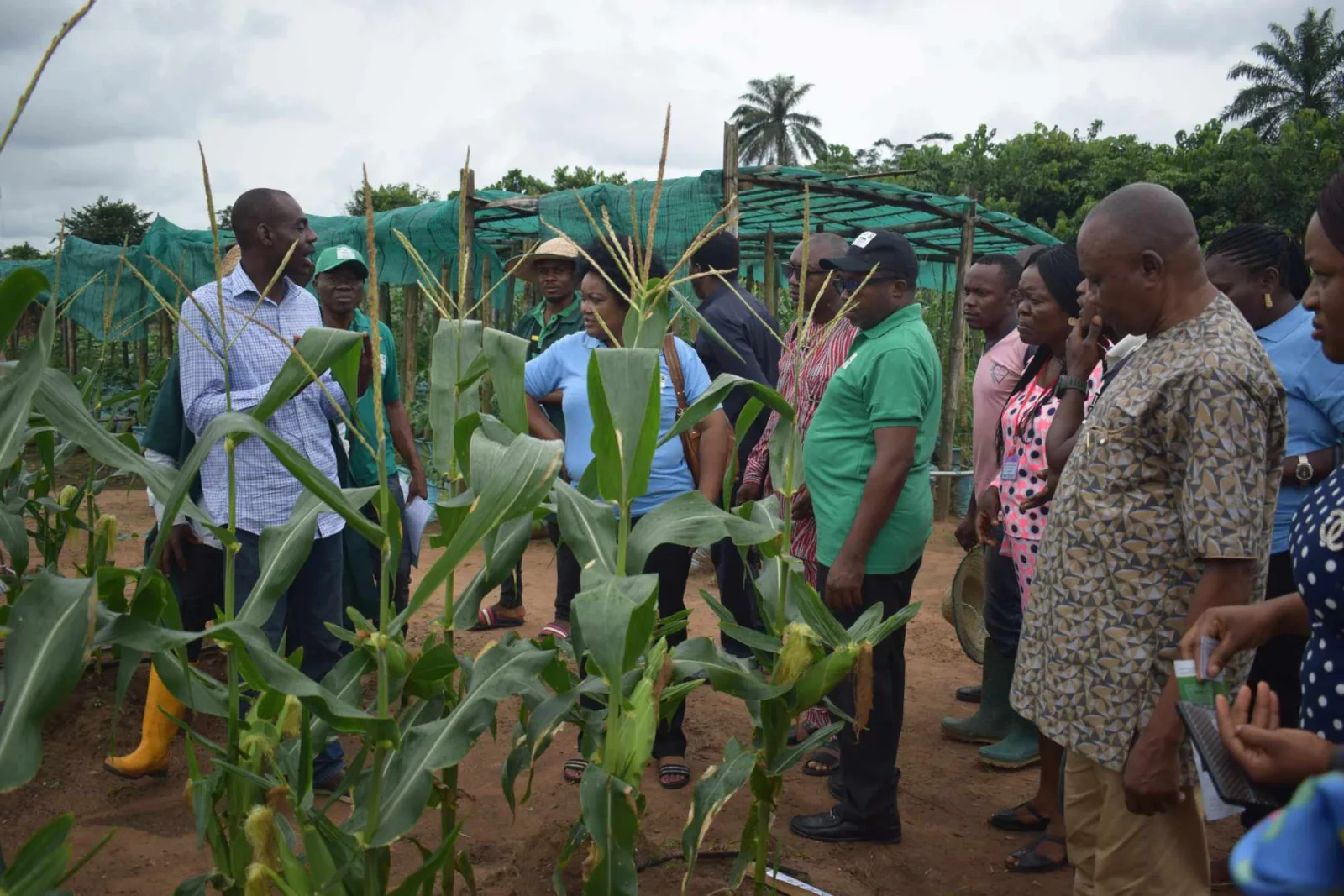 Group discussion during practical training in a K.A.I. cornfield