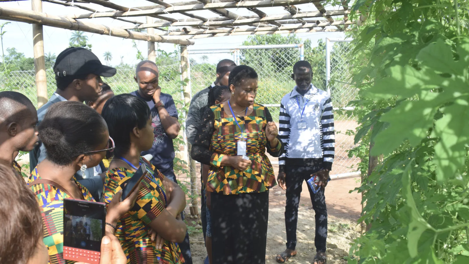 Trainees under a shade net inspecting crops during practical training