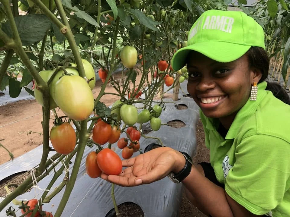 K.A.I. trainee holding harvested tomatoes